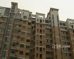 资讯 第88页