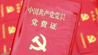 资讯 第37页