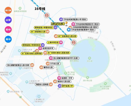 上海临港地区中学教育资源概览